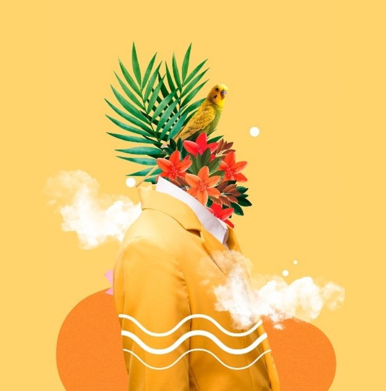 kalyon-kultur-blog-anlamak-banner-m.jpg