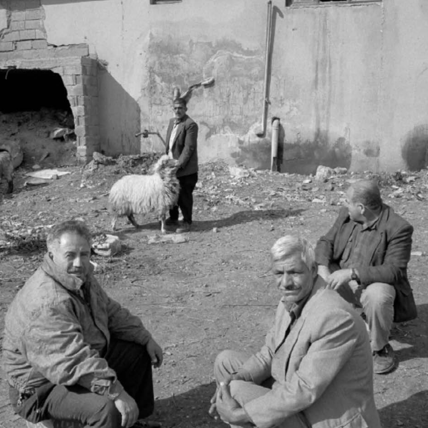 kalyon-kultur-sergiler-kökler-detay.jpg