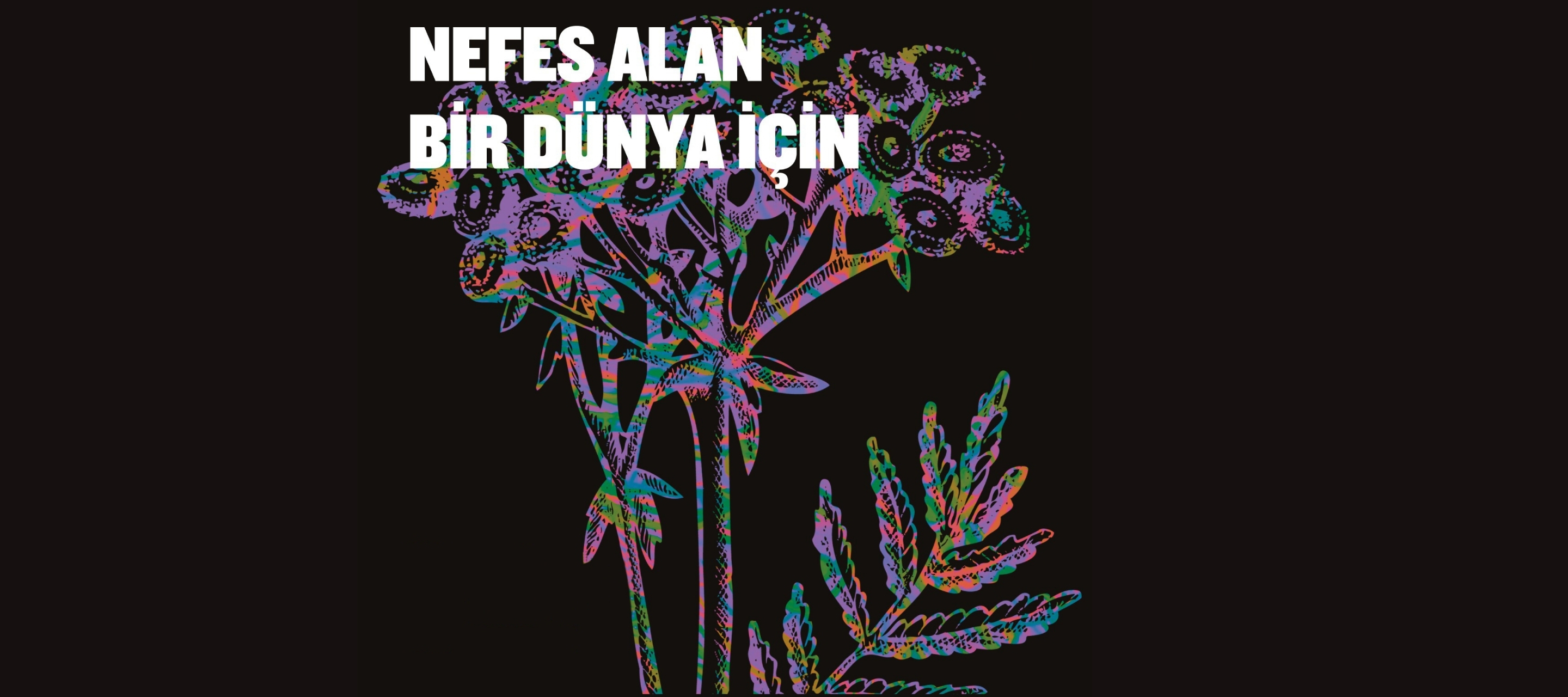 kalyon-kultur-sergiler-flora-anasayfa-card.jpg