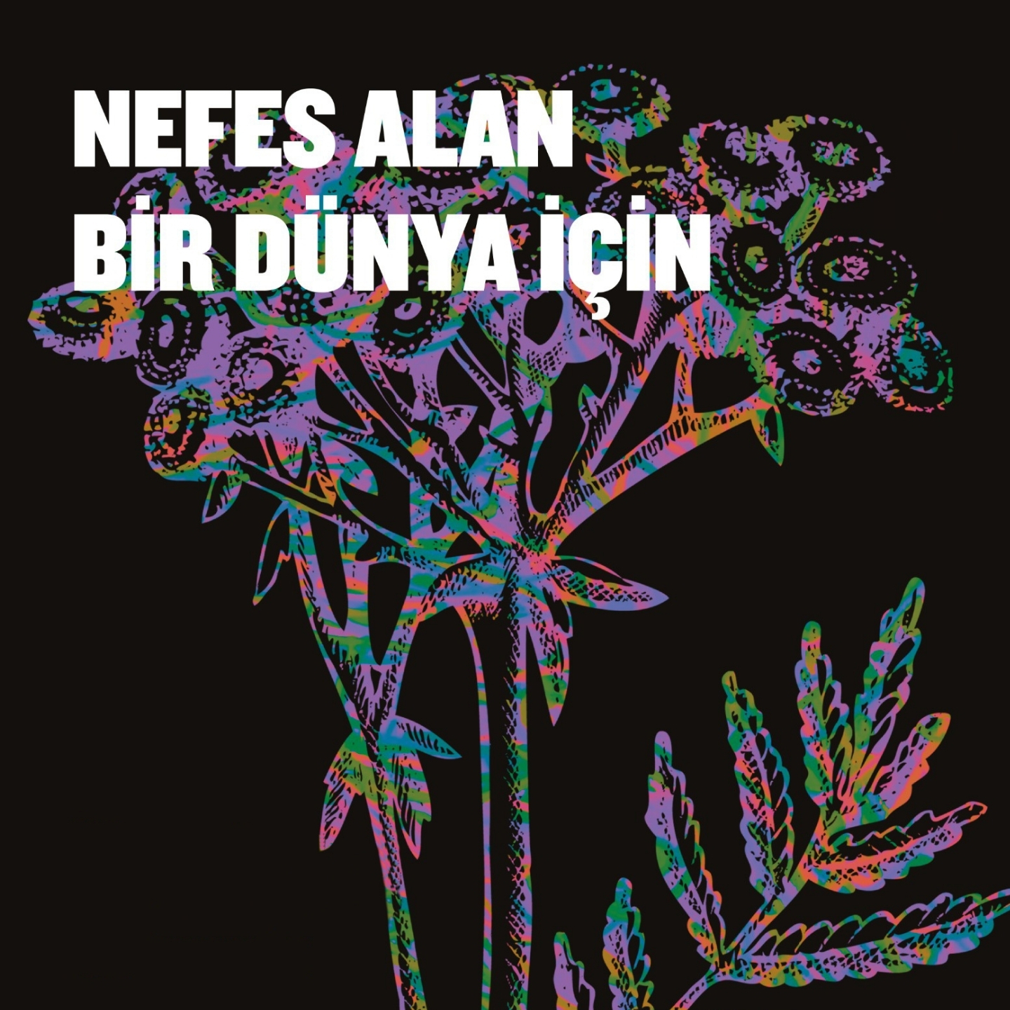 kalyon-kultur-sergiler-flora-detay.jpg